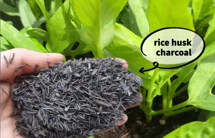 Agricultural rice husk charcoal